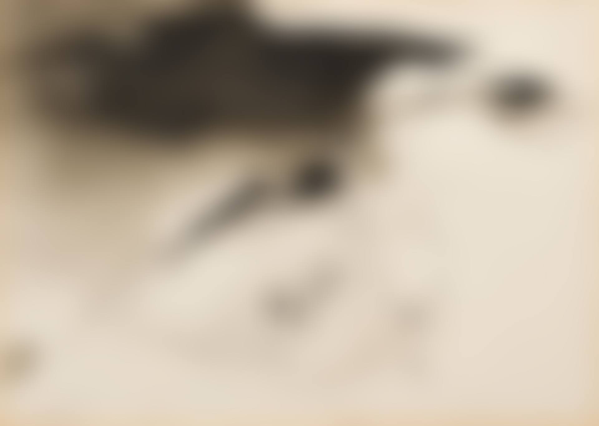 Untitled (preview)