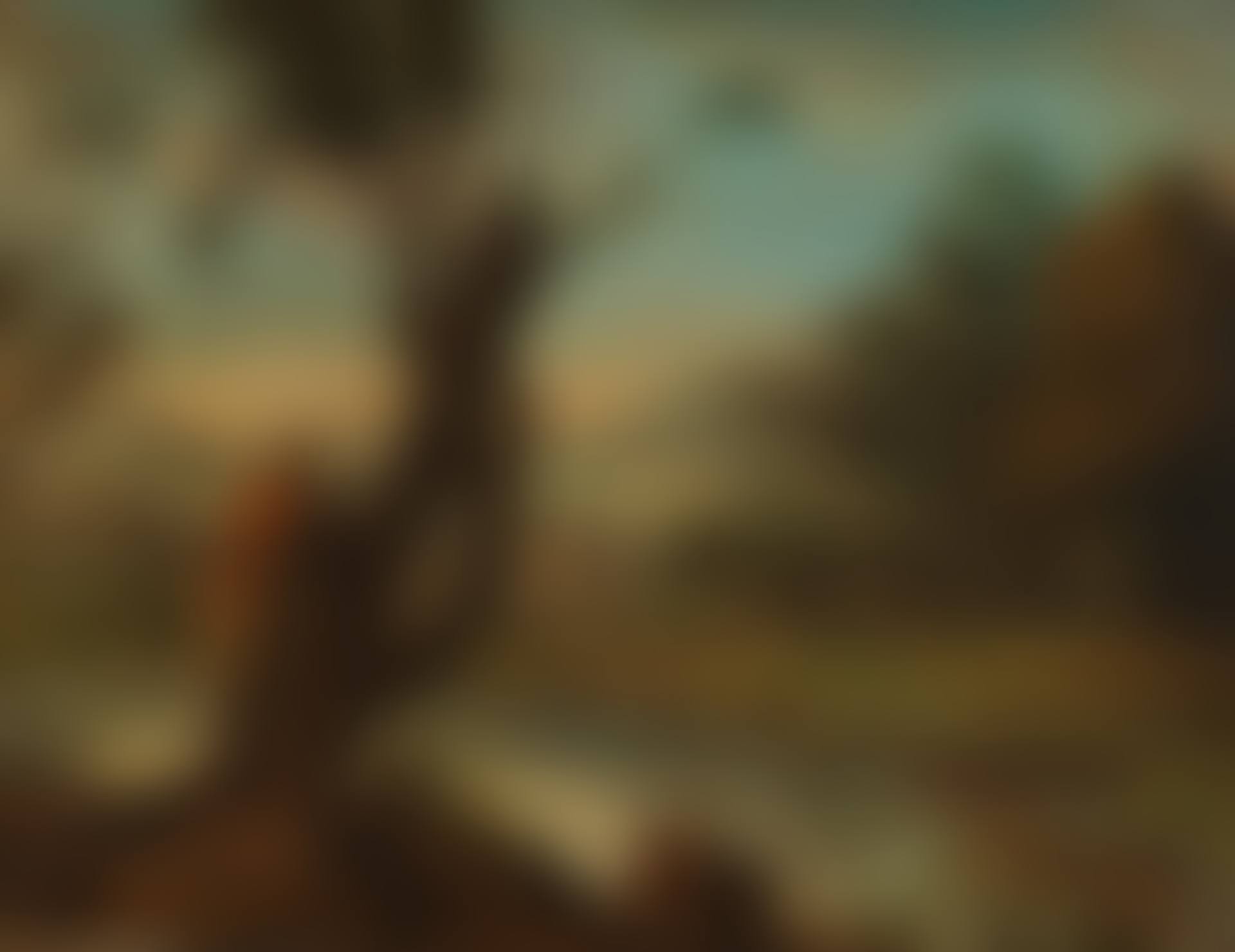 Hiker, gazing into the distance (preview)