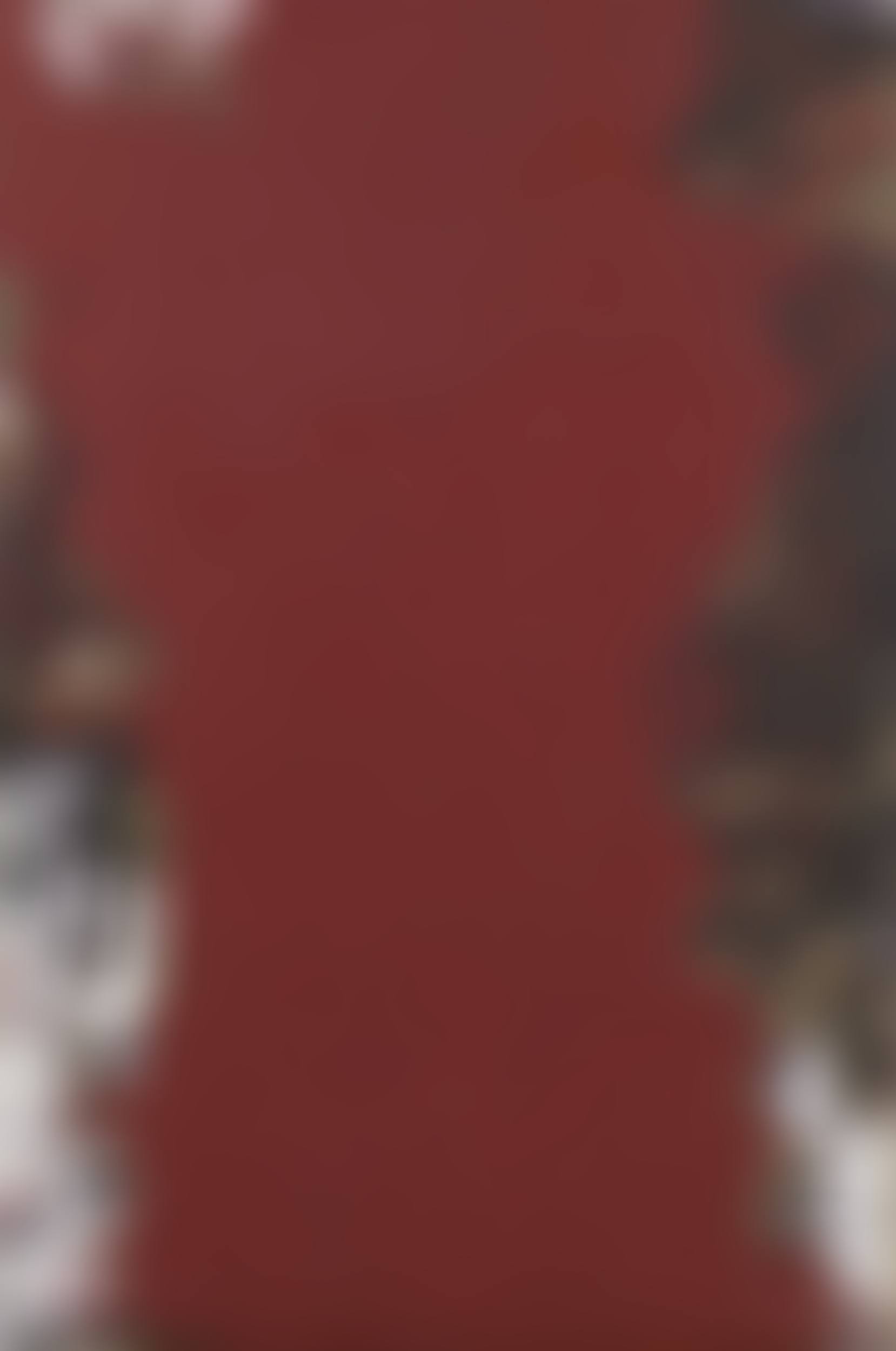 Levitikus (preview)