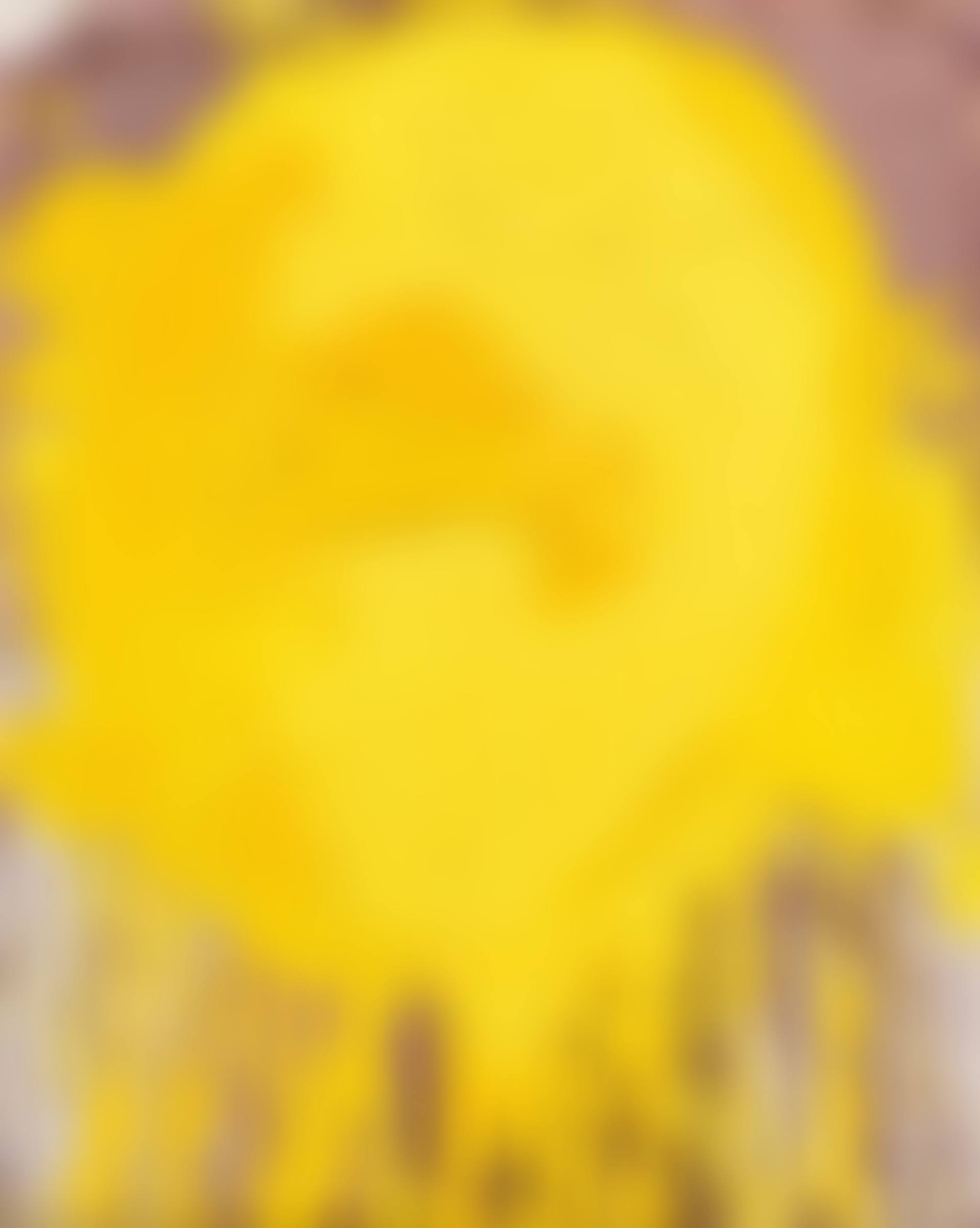 Untitled (Bulk picture) (preview)