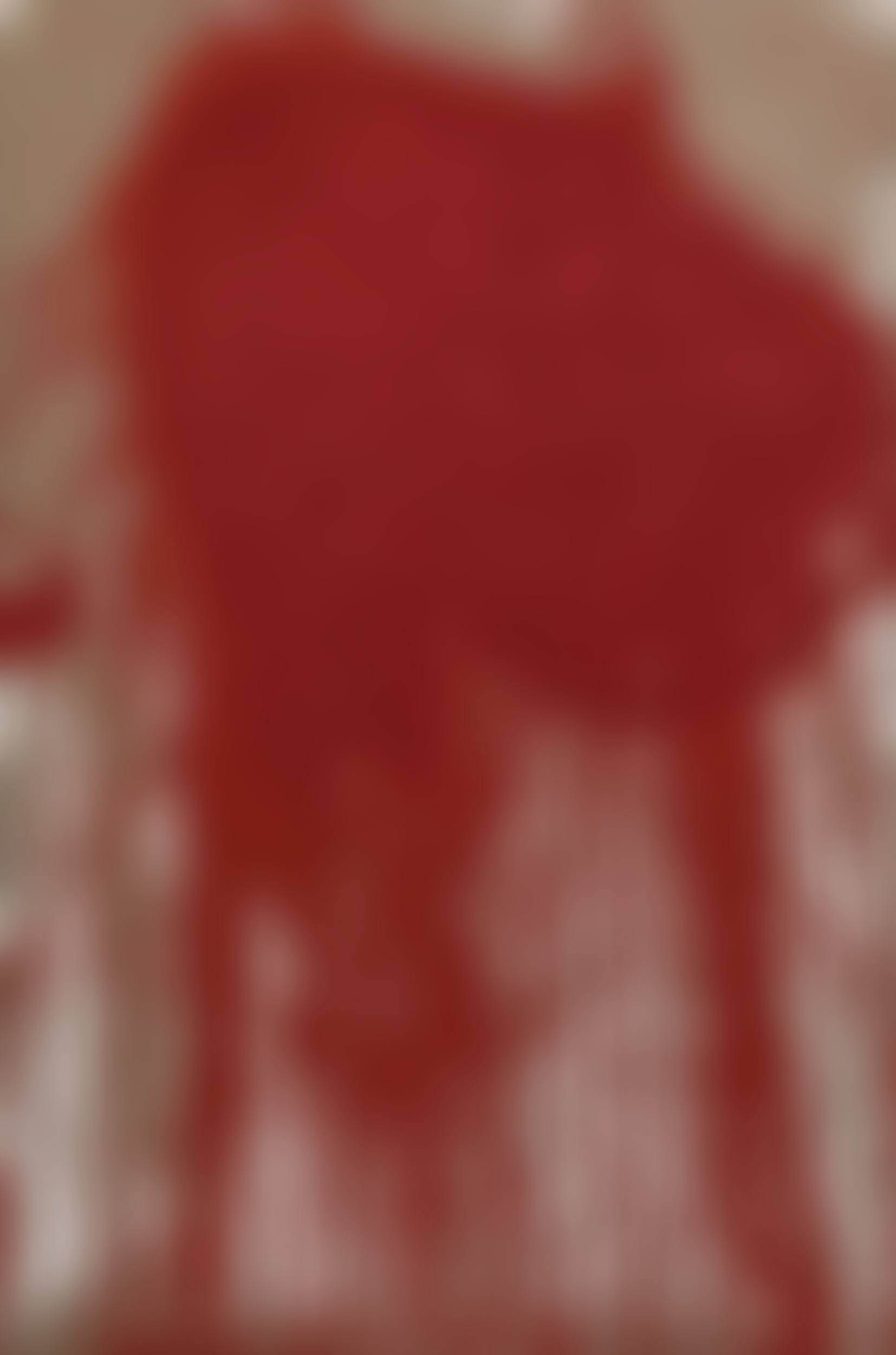 Levitikus (preview)