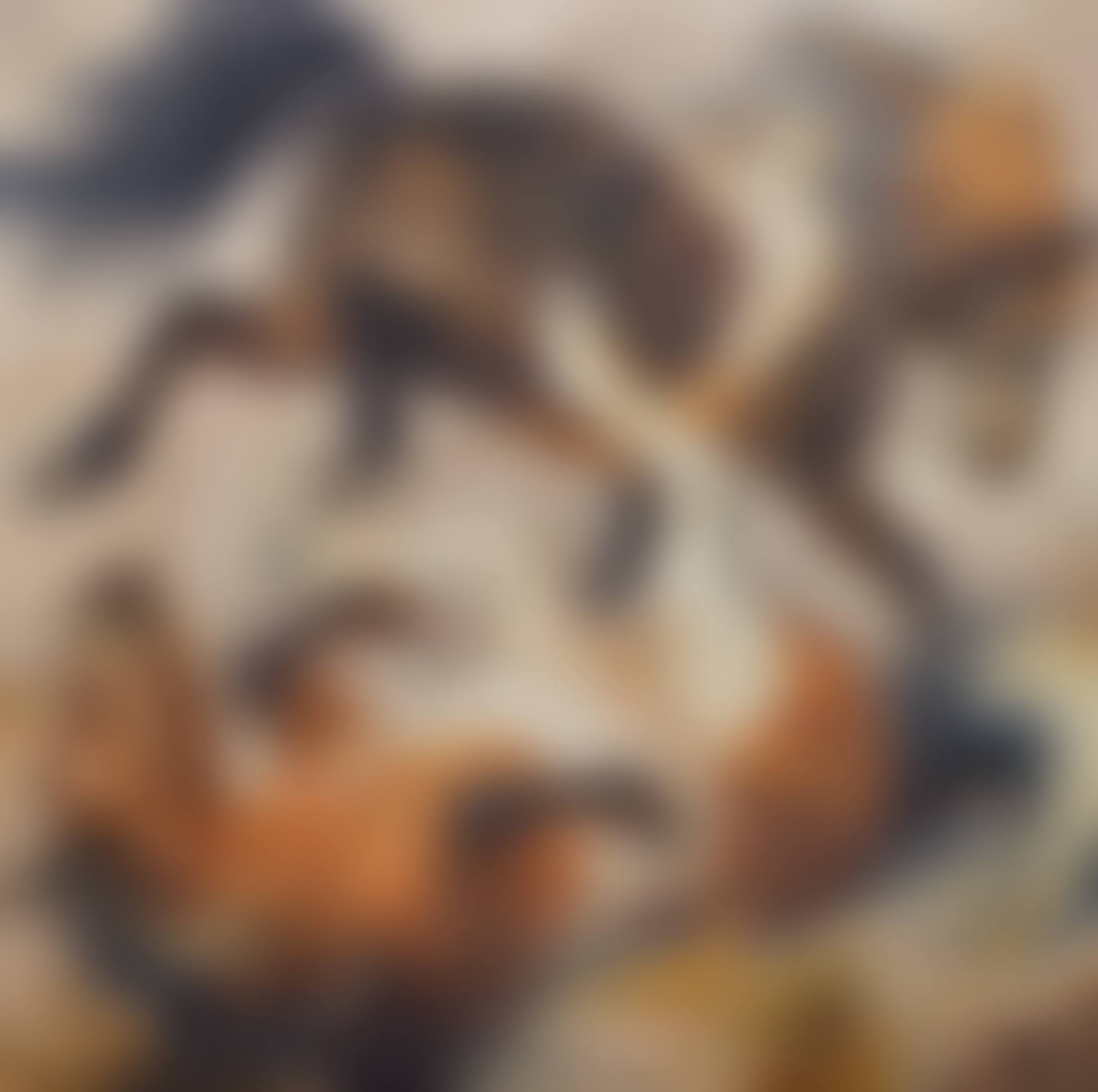 Fröhliche Ponys (preview)