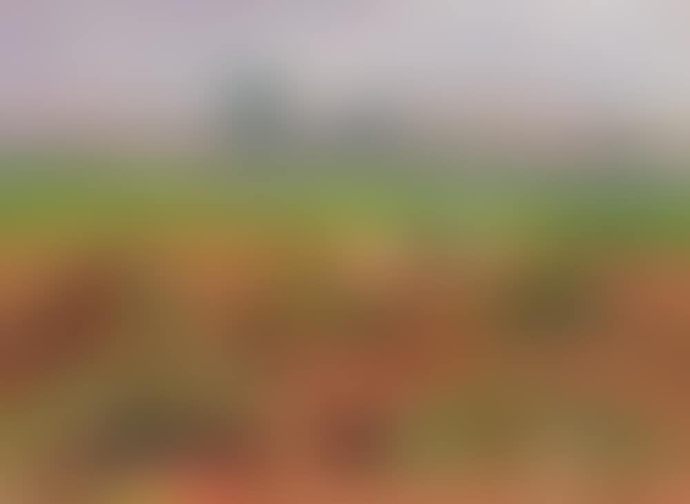 During fieldwork (preview)