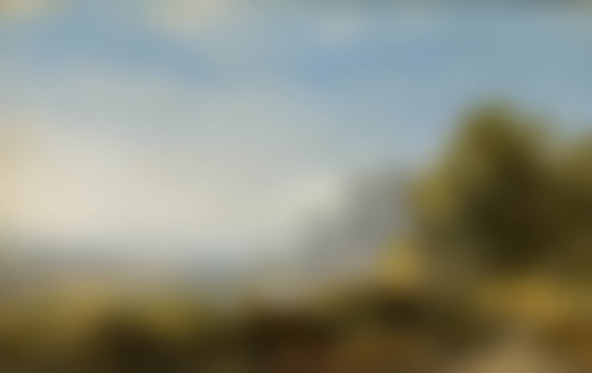 Vast landscape (preview)
