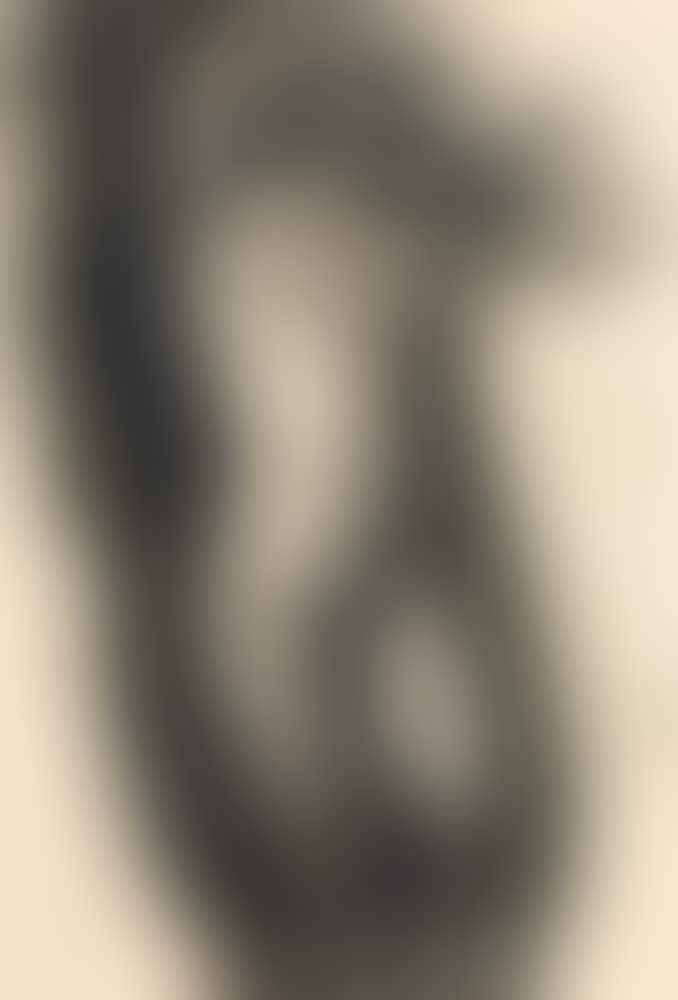 Untitled (Nude) (preview)