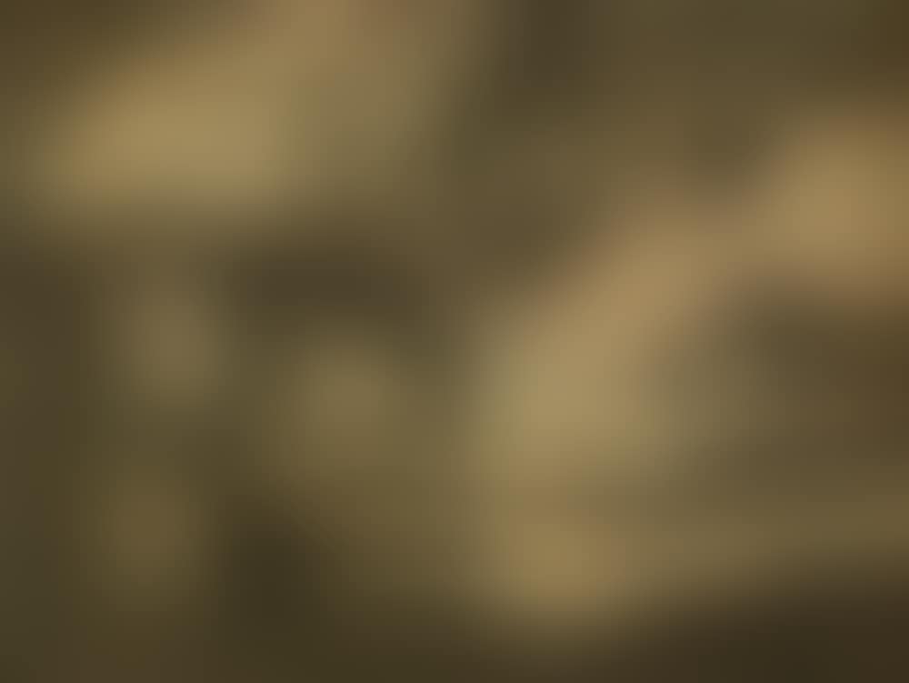 Untitled (Panorama picture) (preview)