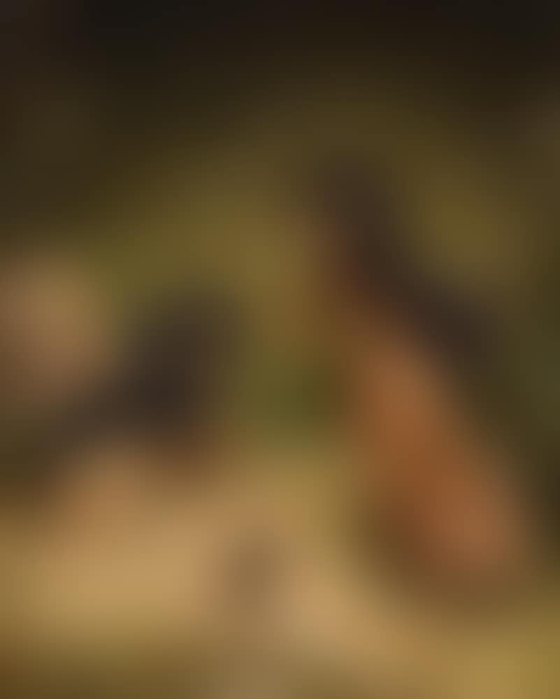 Three dachshunds with stag beetle (preview)