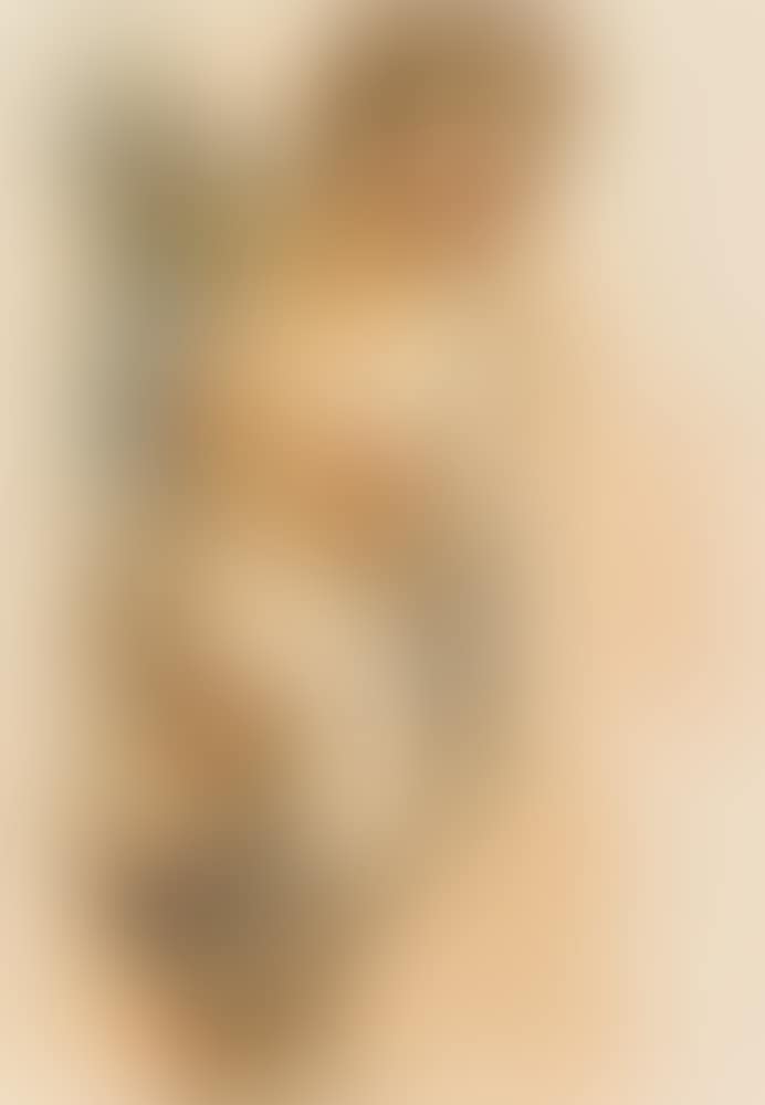 Standing female nude (preview)