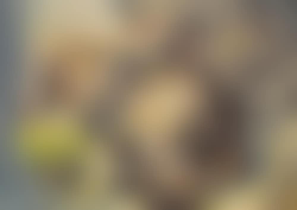 "Frühlingssonne" (preview)