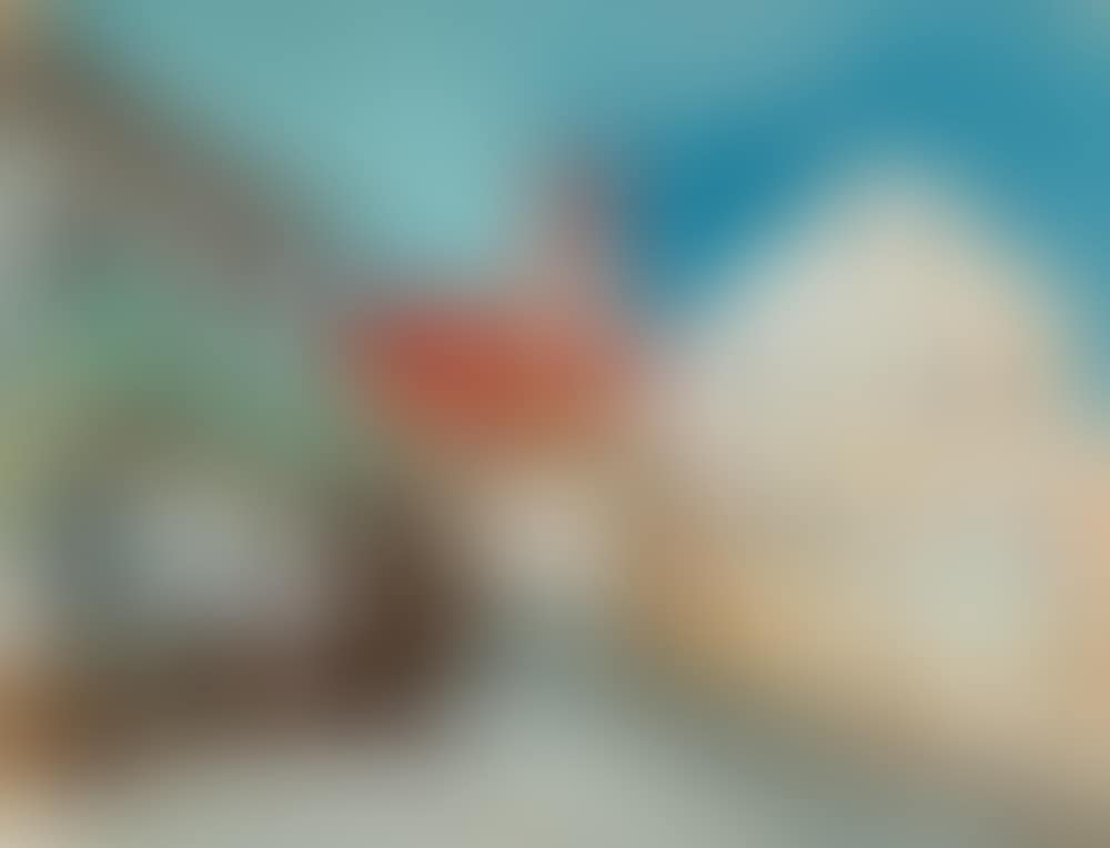 Village in winter (Ybbs) (preview)