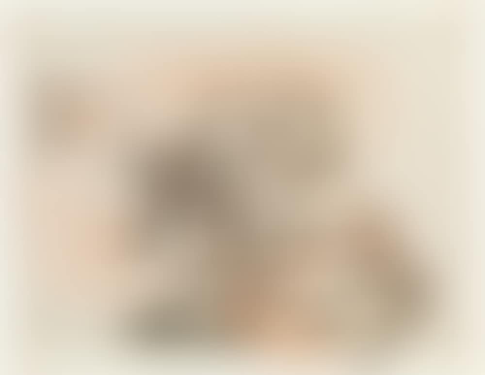 "Schöne Mischung" (preview)
