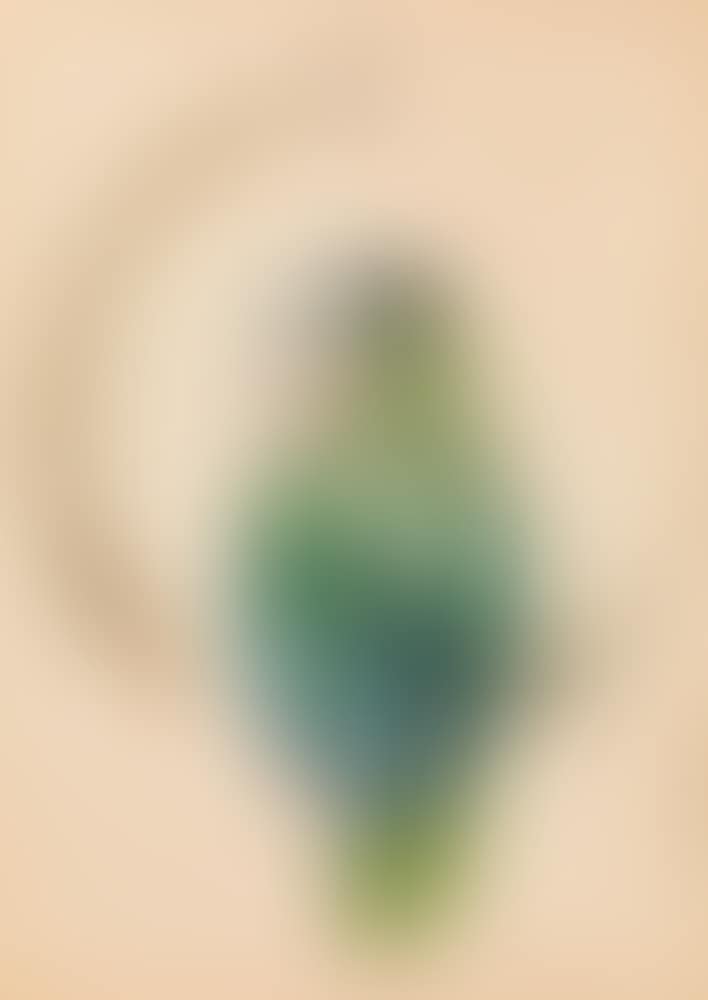 Parrot (preview)
