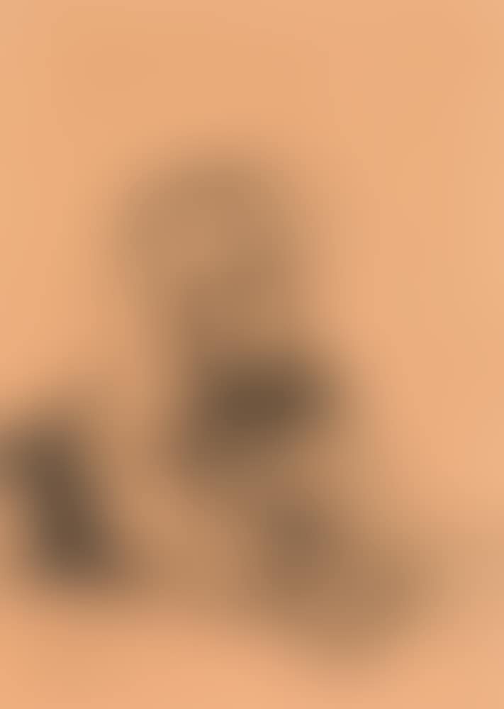 Afghan hound (preview)