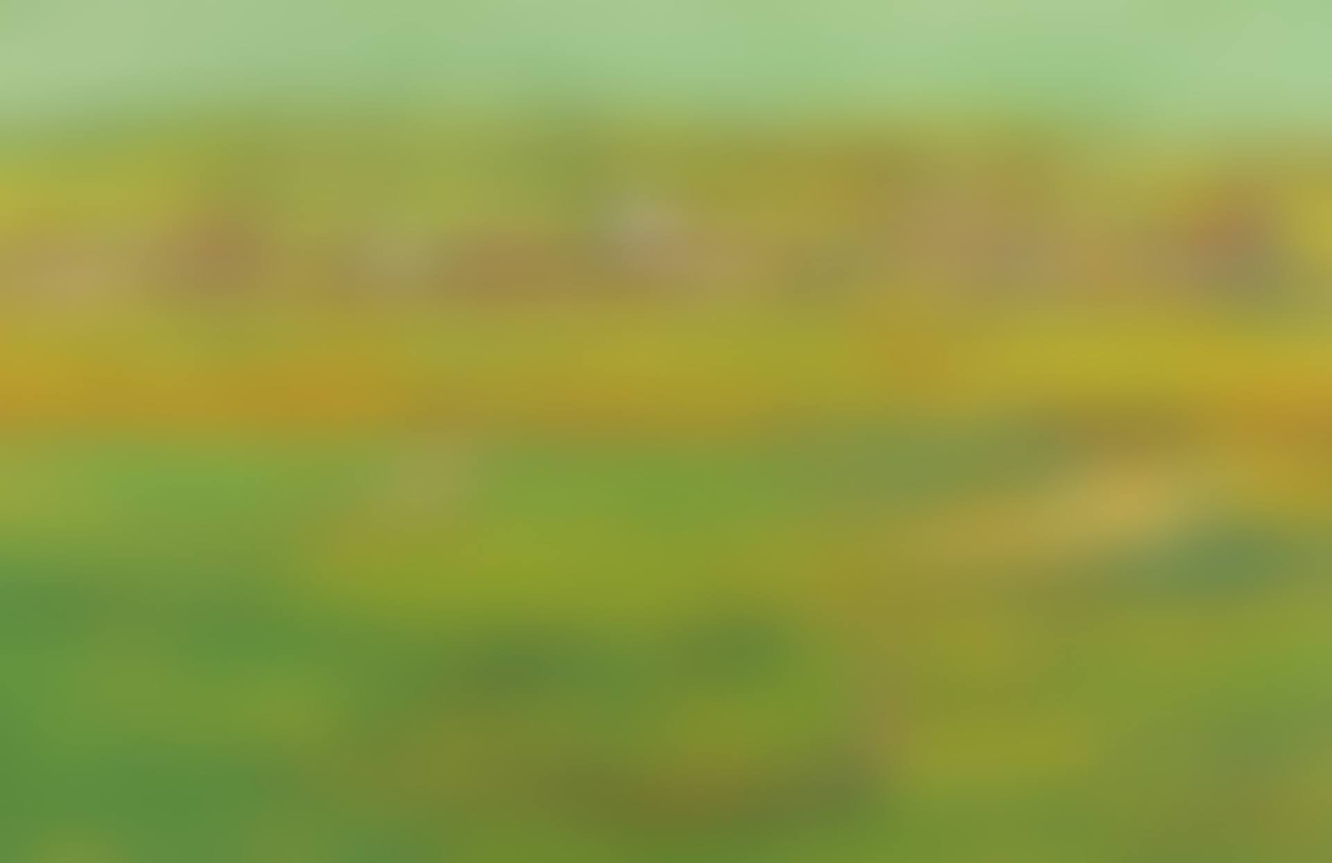 Landscape in the north of Bisamberg (preview)