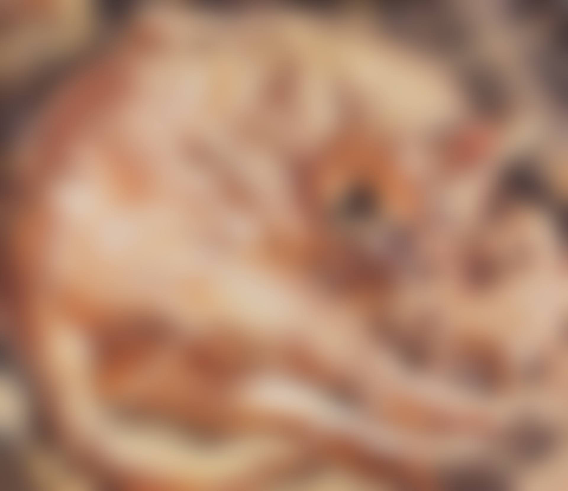 Heimkehr I (preview)