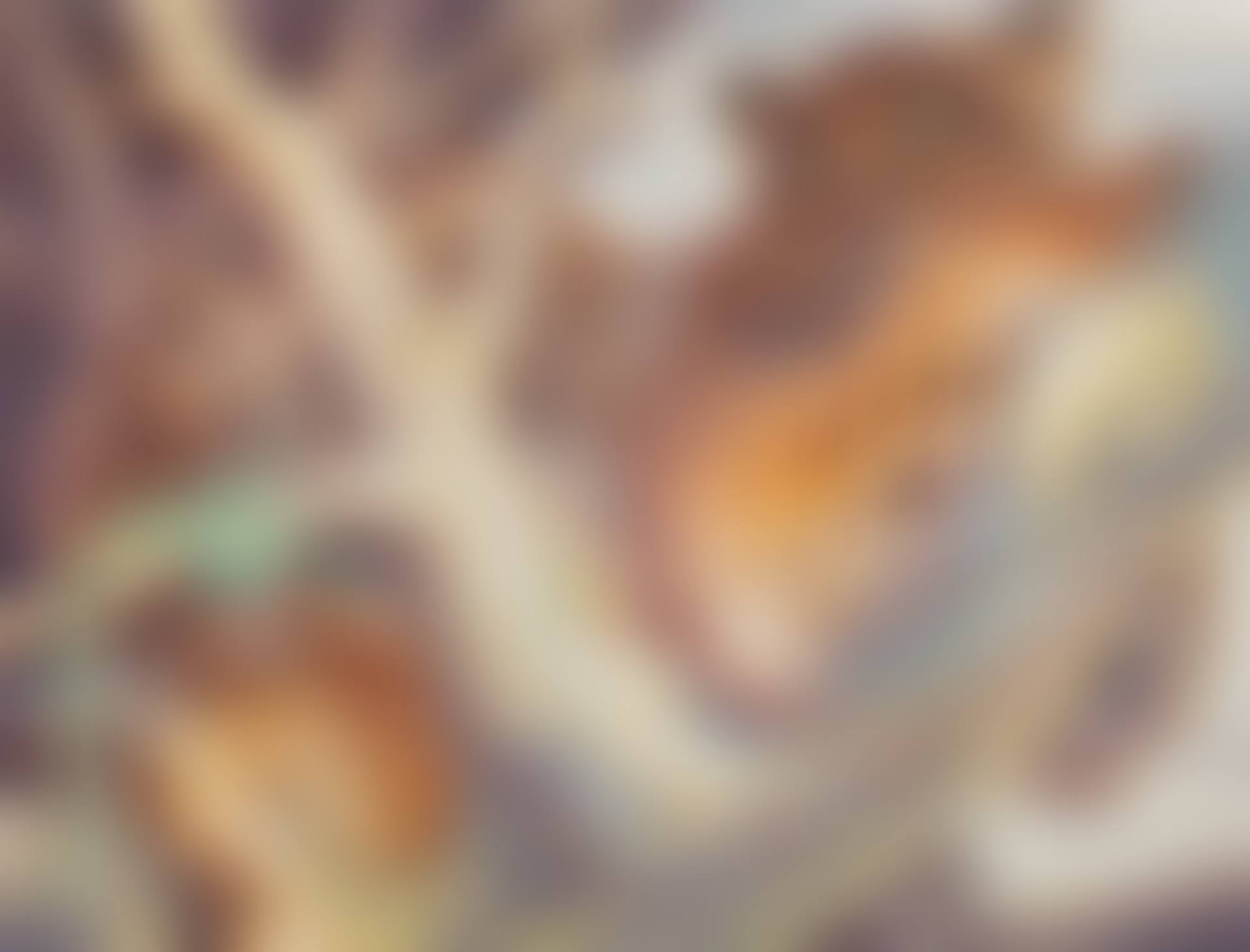 Baum (preview)