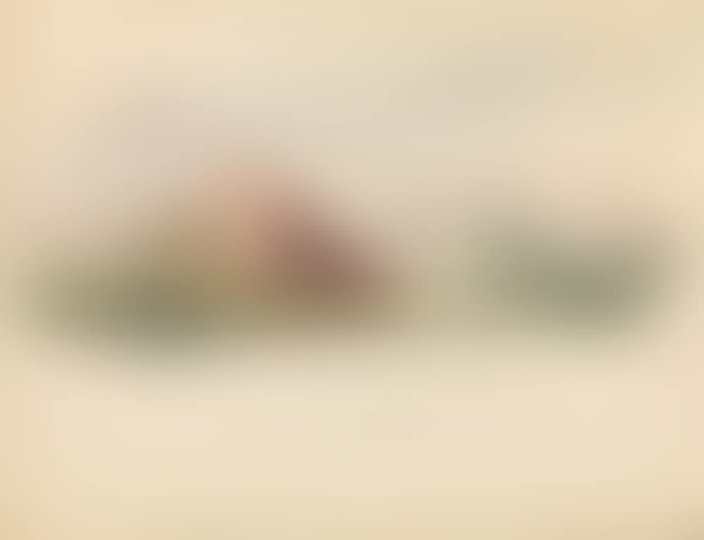 Bled in Slovenia (preview)