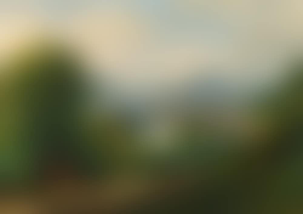 View of Bad Ischl (preview)