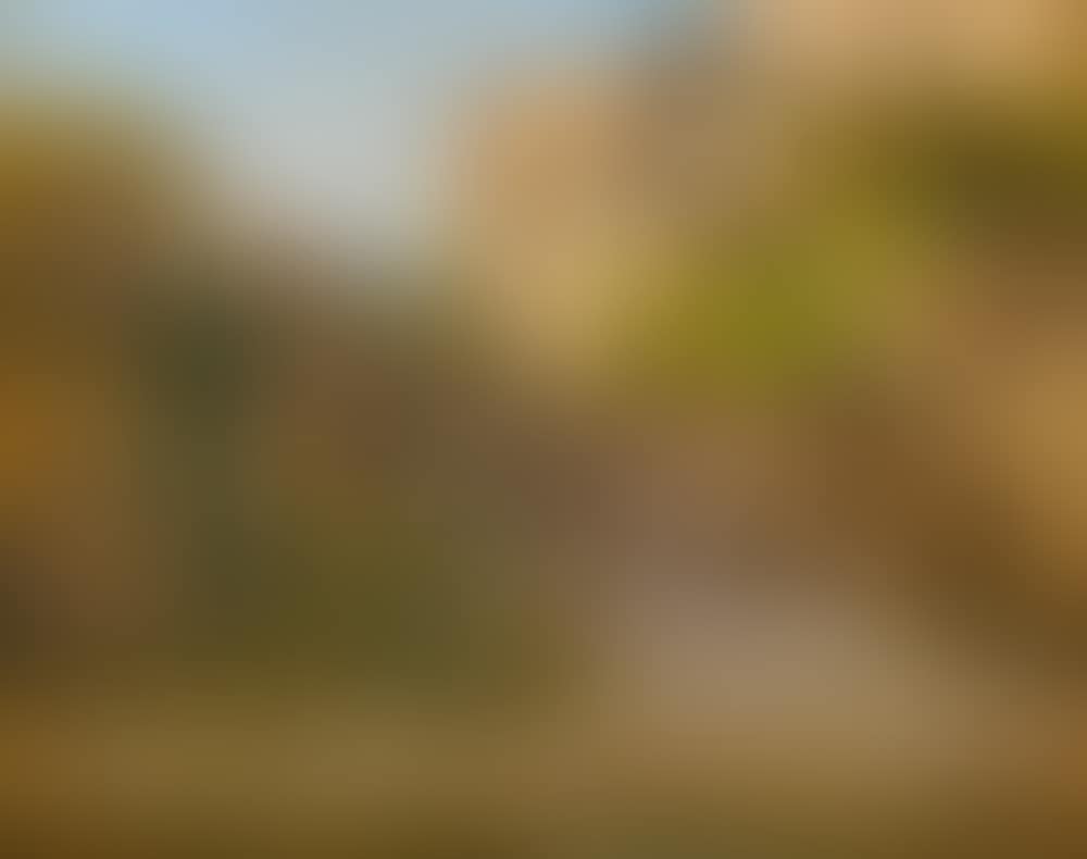 Street motif near Assisi (preview)