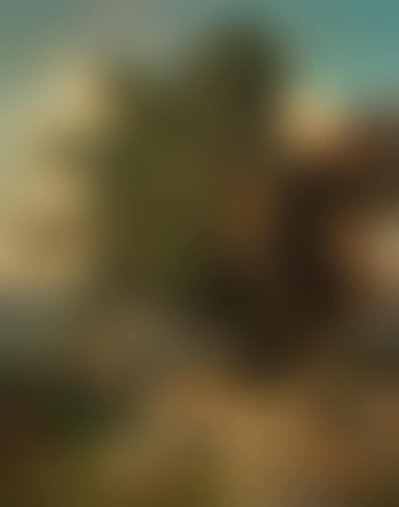 Seewinkel (preview)