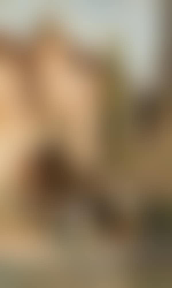 In front of the city gate. Street in a mediterranean city (study) (preview)