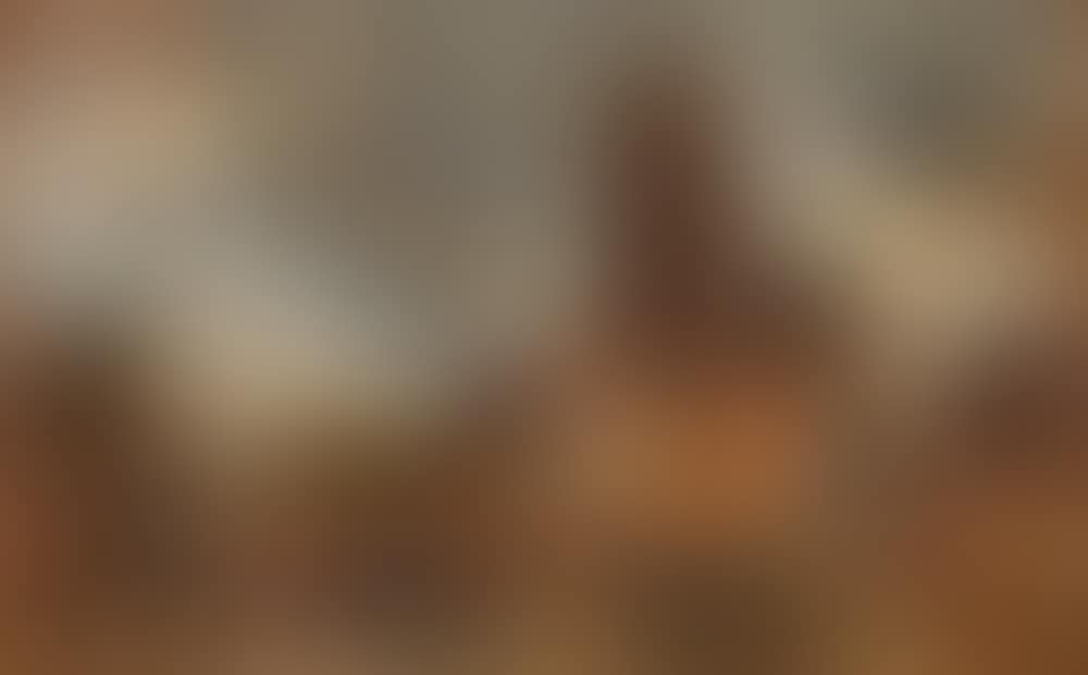 View of Dordrecht (preview)