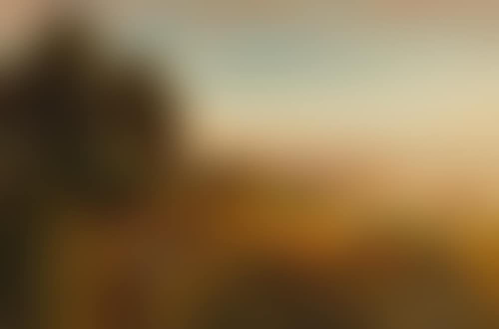 Evening mood in the Alban Mountains (preview)