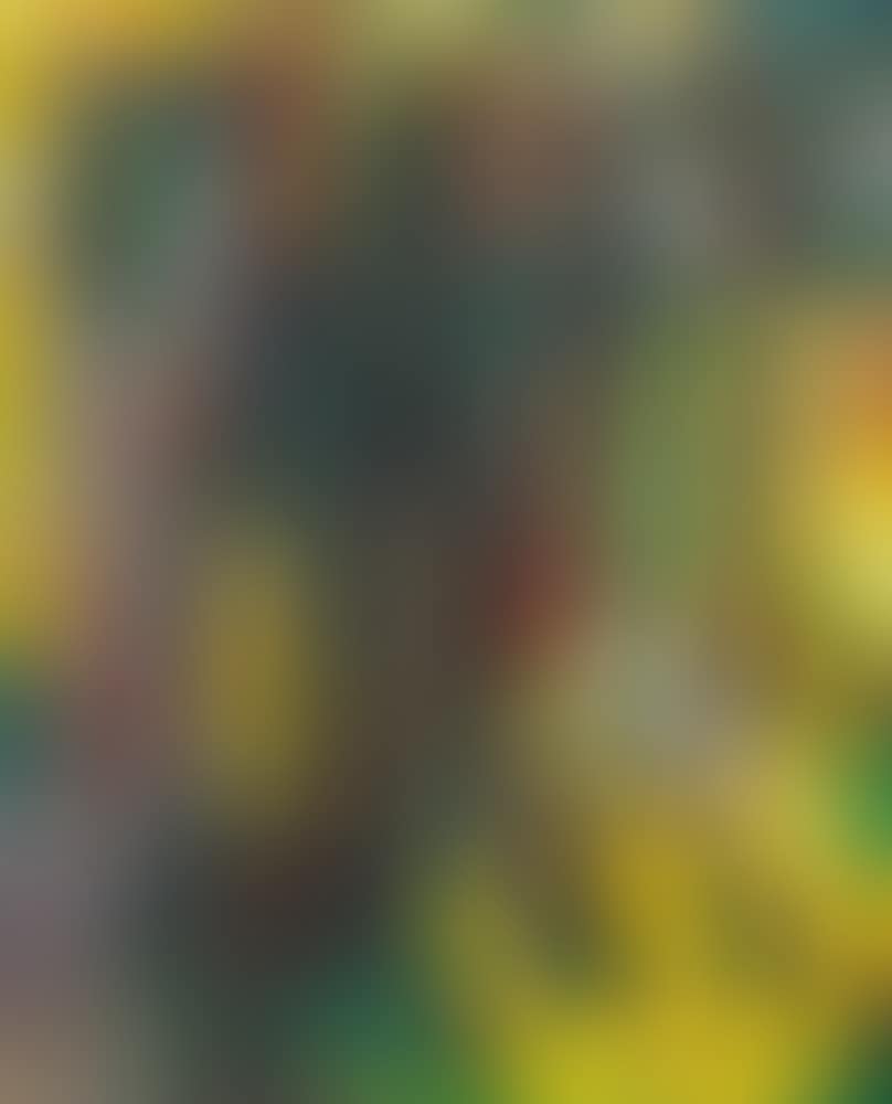 Untitled (preview)