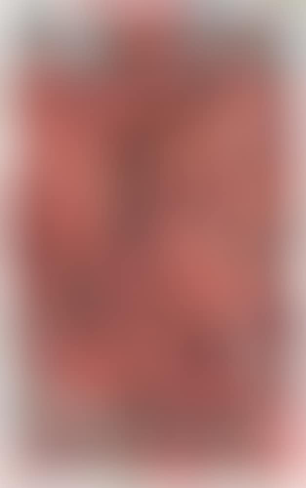 Untitled (preview)