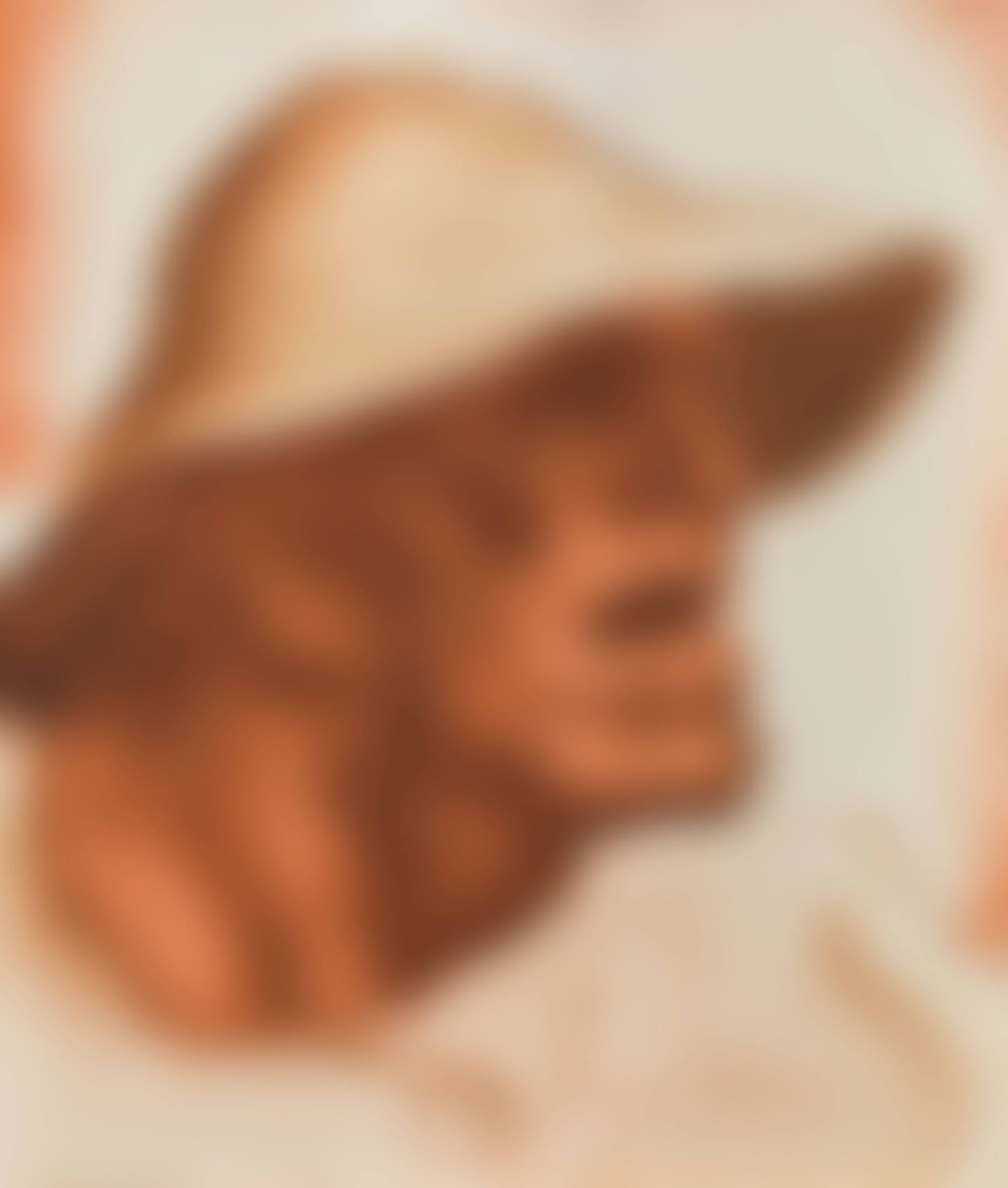 The first peasant of the Totentanz (preview)