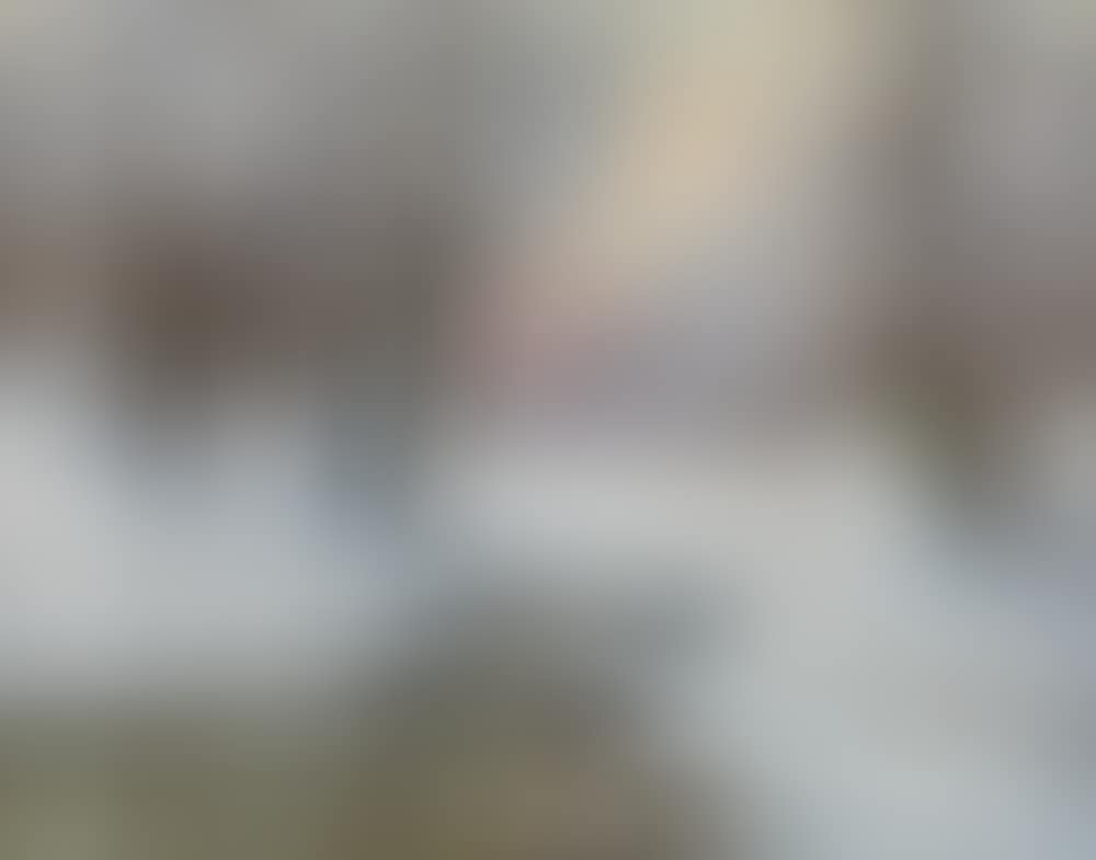 Wintery wood landscape (preview)