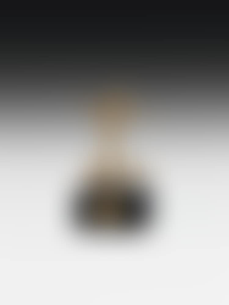 Triton Alado (preview)