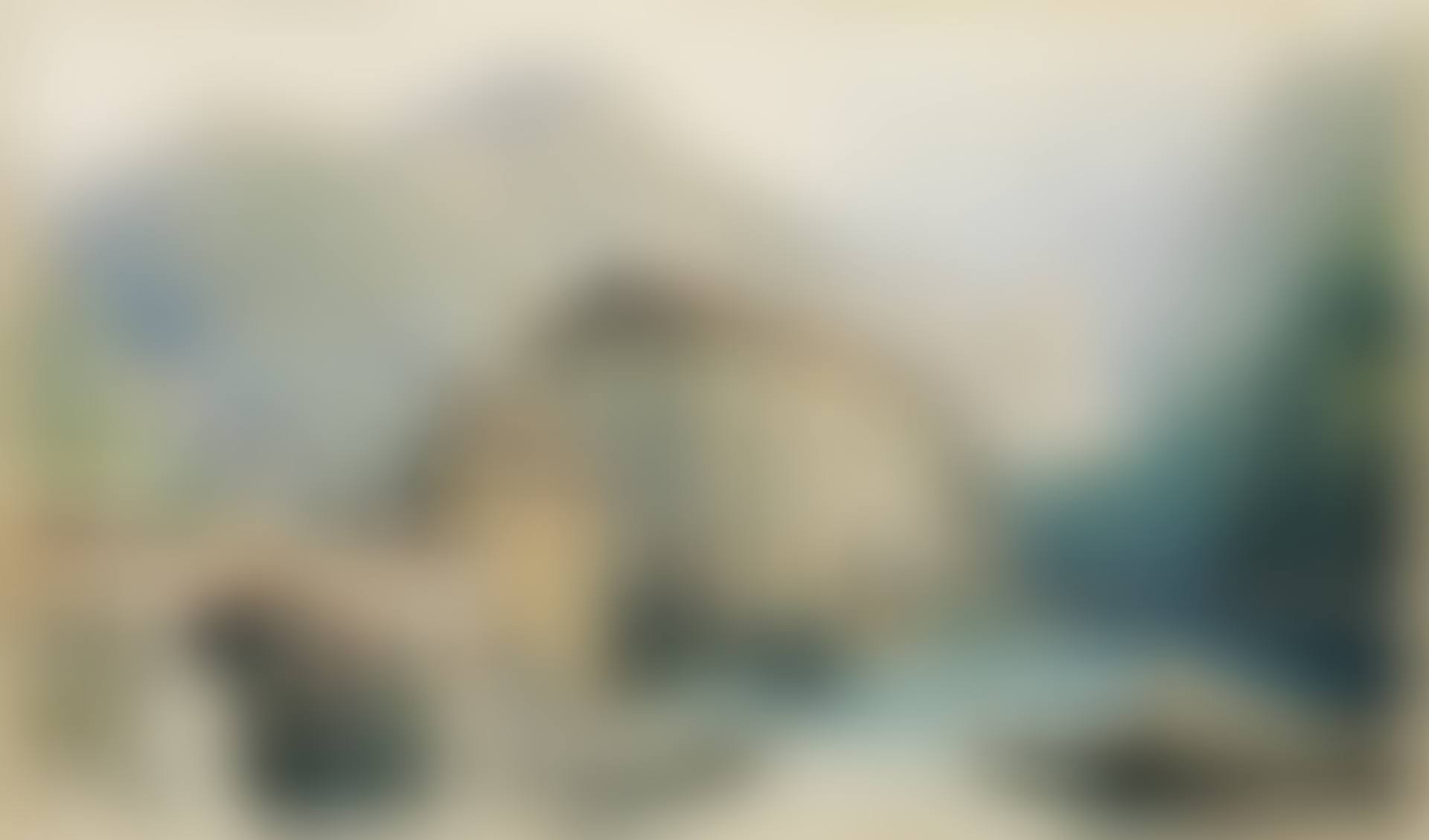 Medgidia (preview)