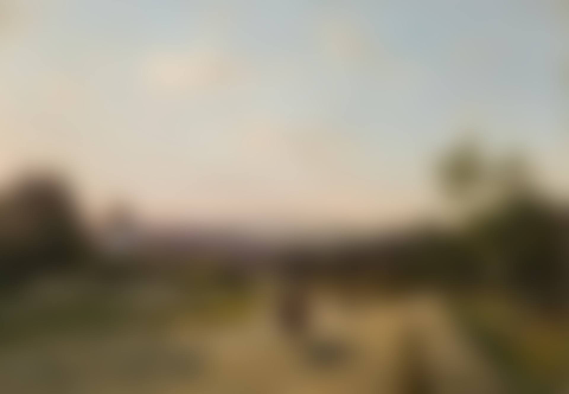 Evening mood in southern landscape (preview)