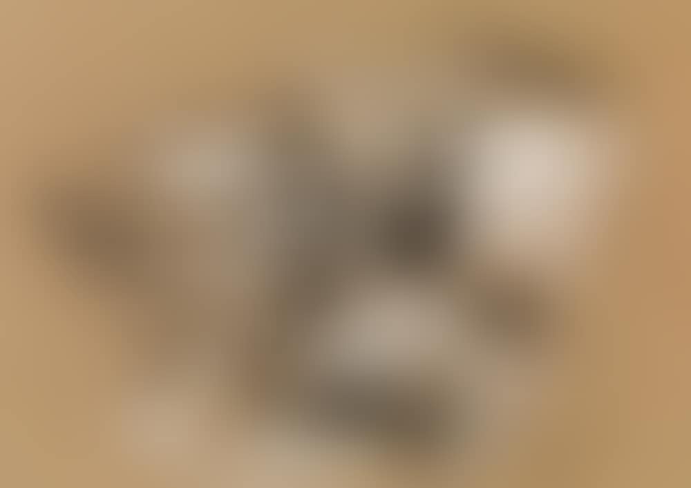 Village in the winter (preview)