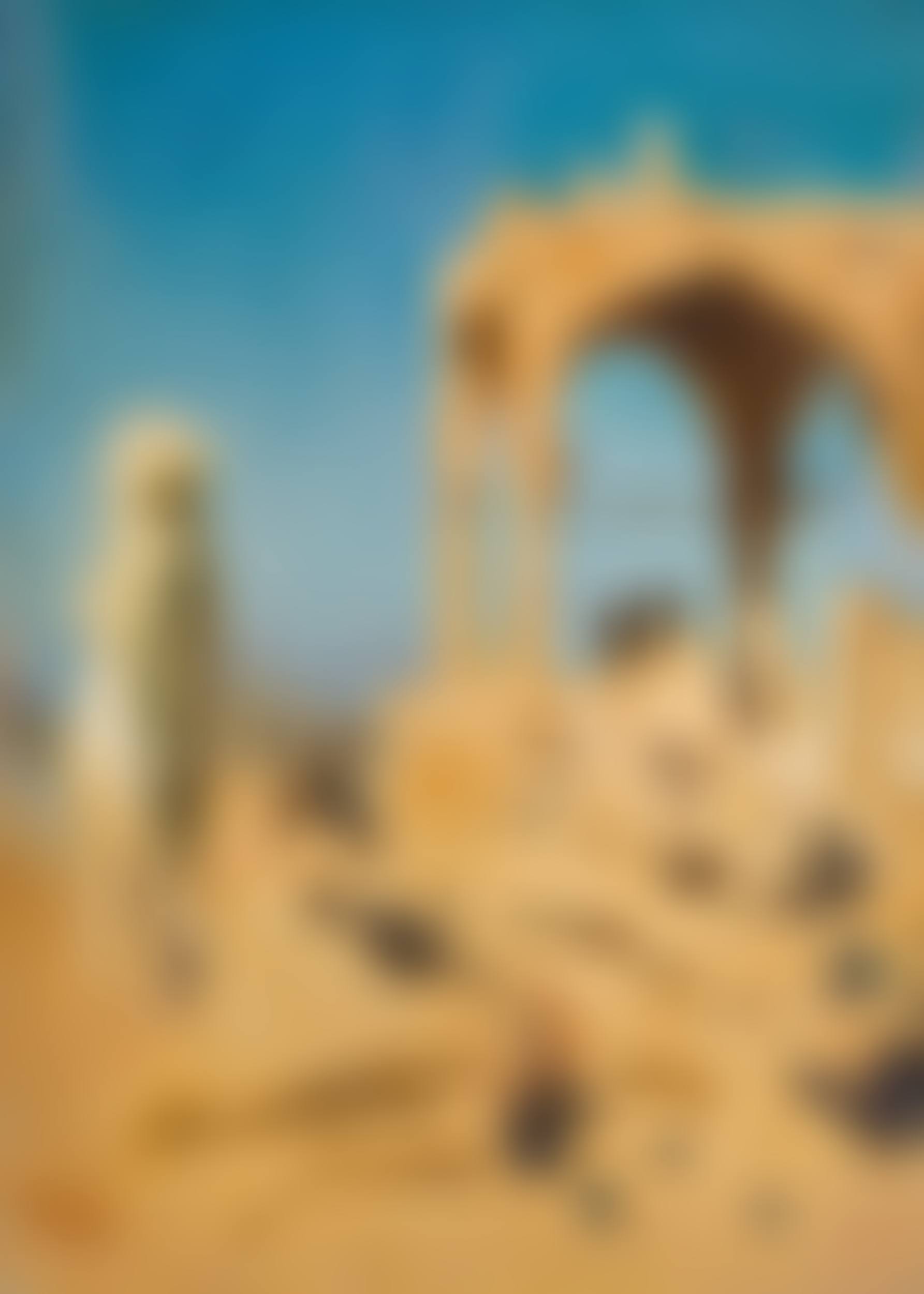At the Tombs of the Caliphs (nature study) (preview)