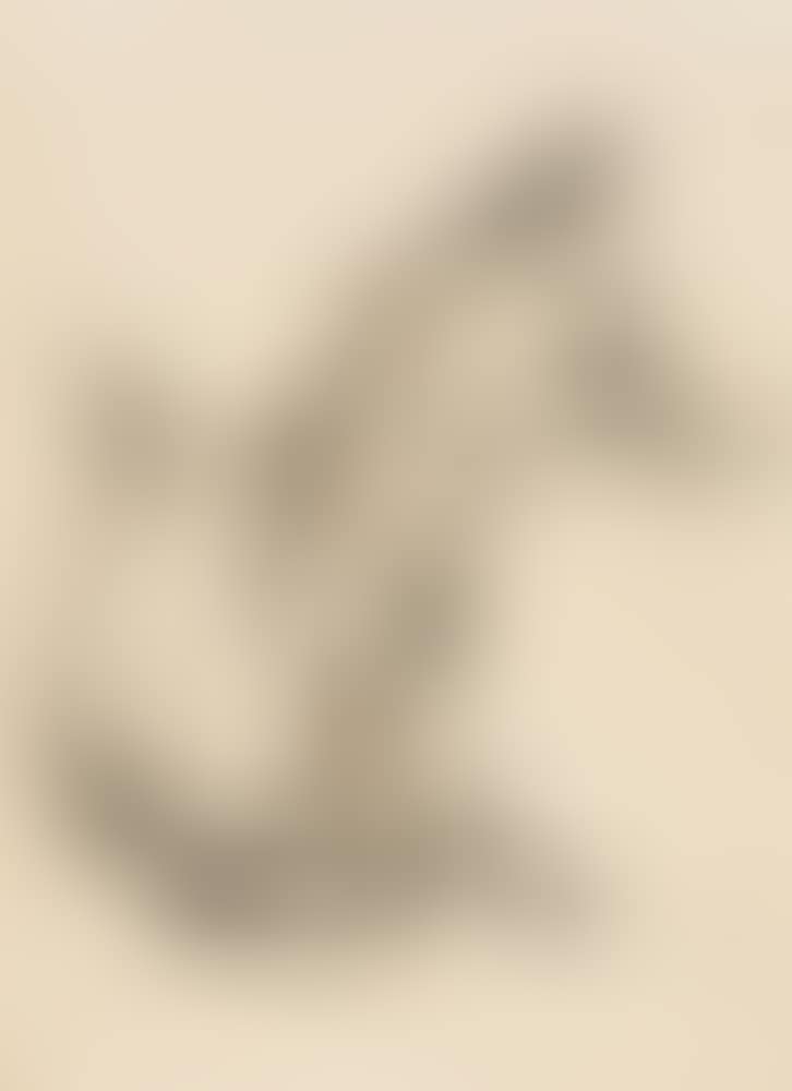 Fox (preview)