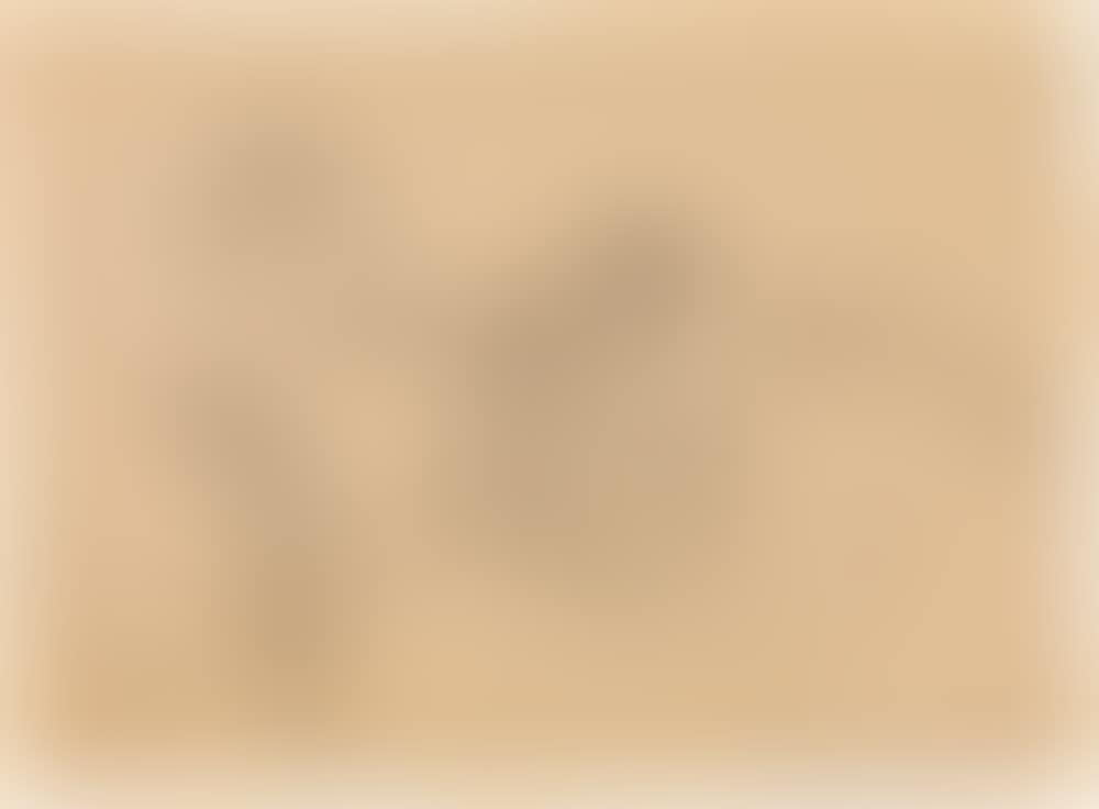 Untitled (preview)