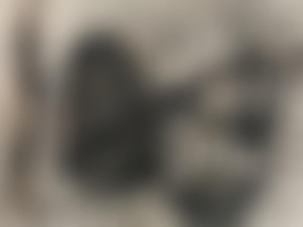 Untitled (preview)
