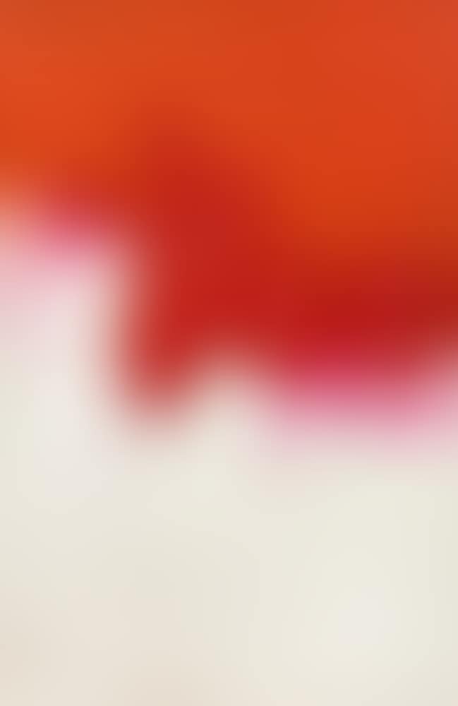 "rot und orange - Berlin - 1966" (preview)