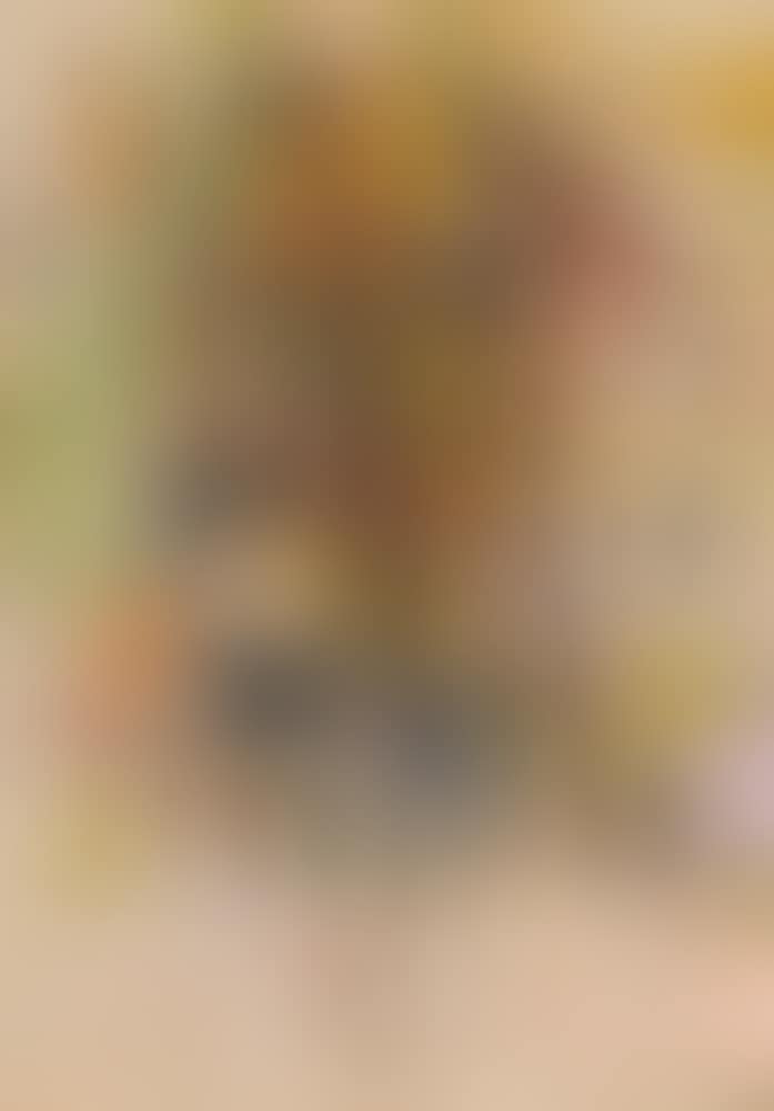 "Der Weidekopf" (preview)