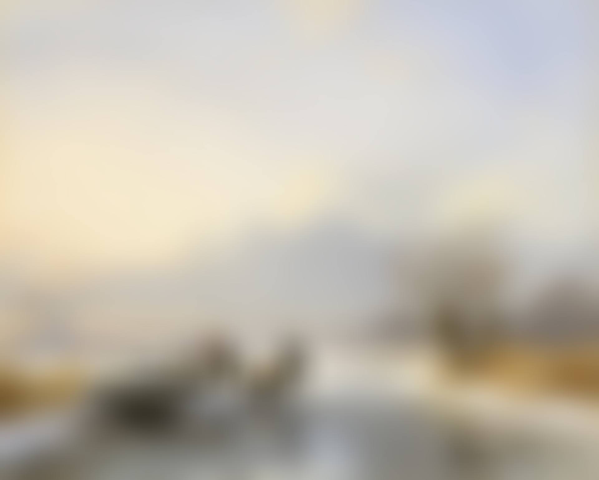 Winter's joy (preview)