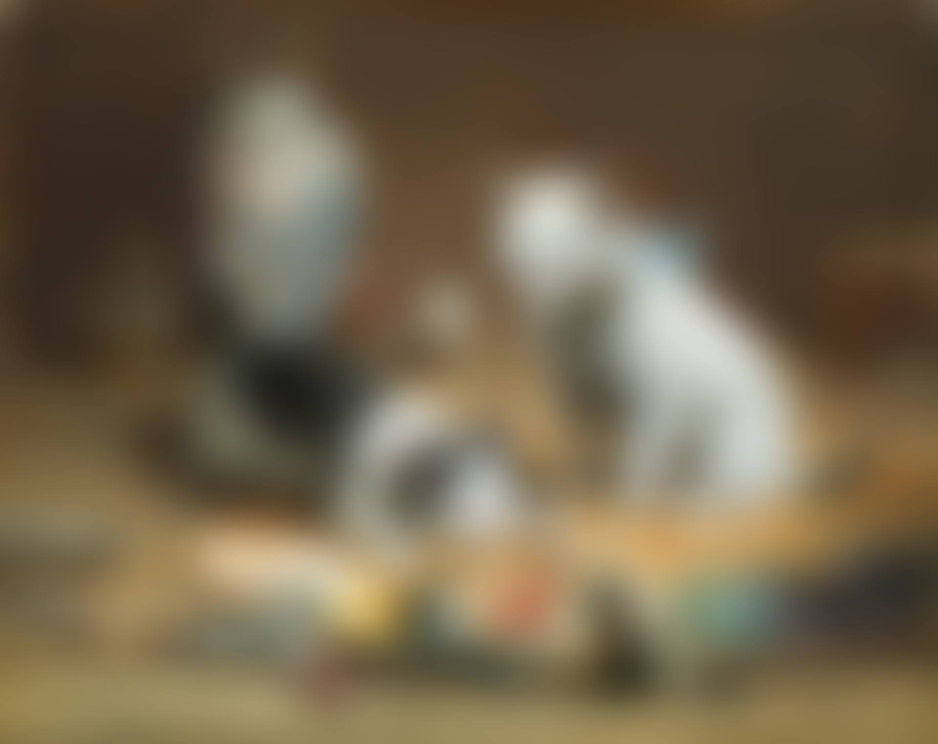 Kittens at the studio (preview)