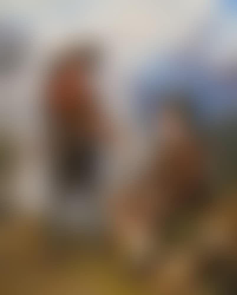 "Zwey Tiroler auf einer Berghöhe ausruhend" (preview)
