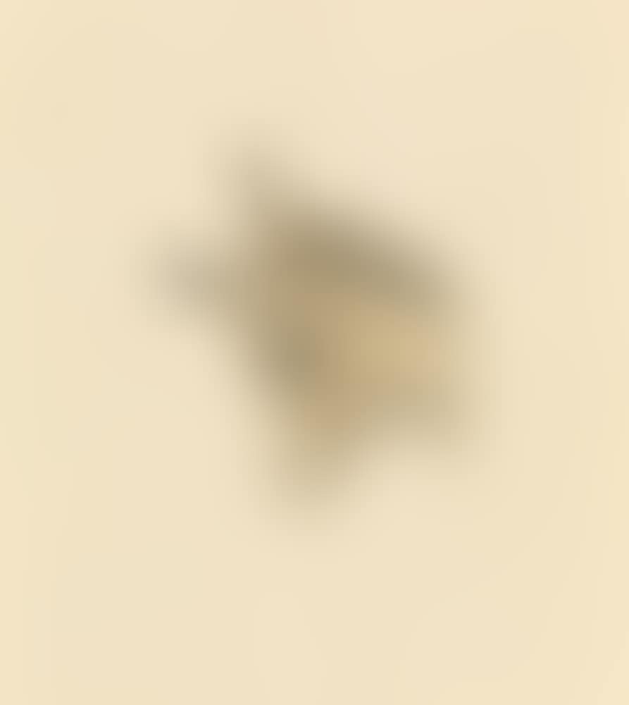 Head of a donkey (preview)