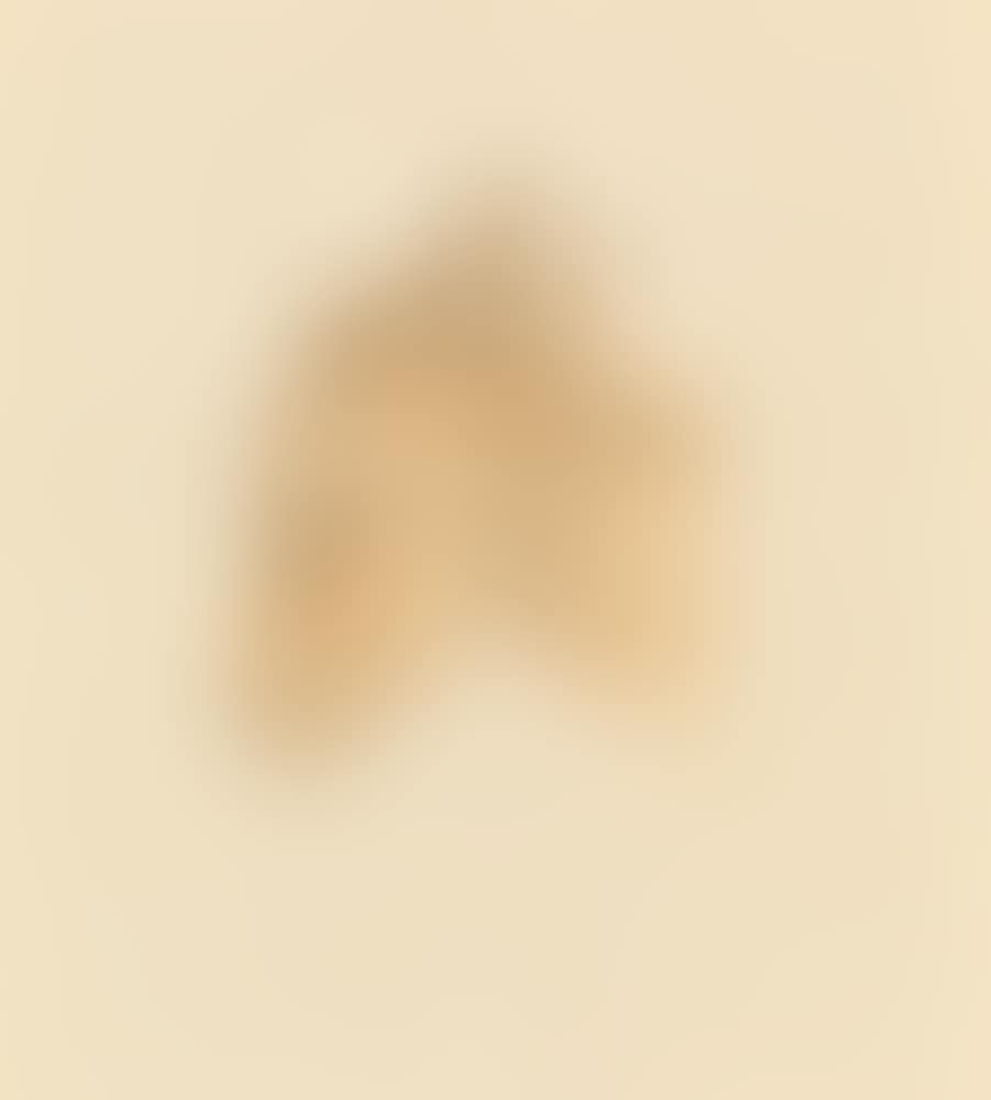 Head of a donkey (preview)