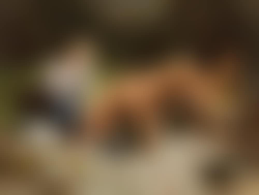 "Gemeinsames Mahl unter Freunden (dinner with friends)" (preview)