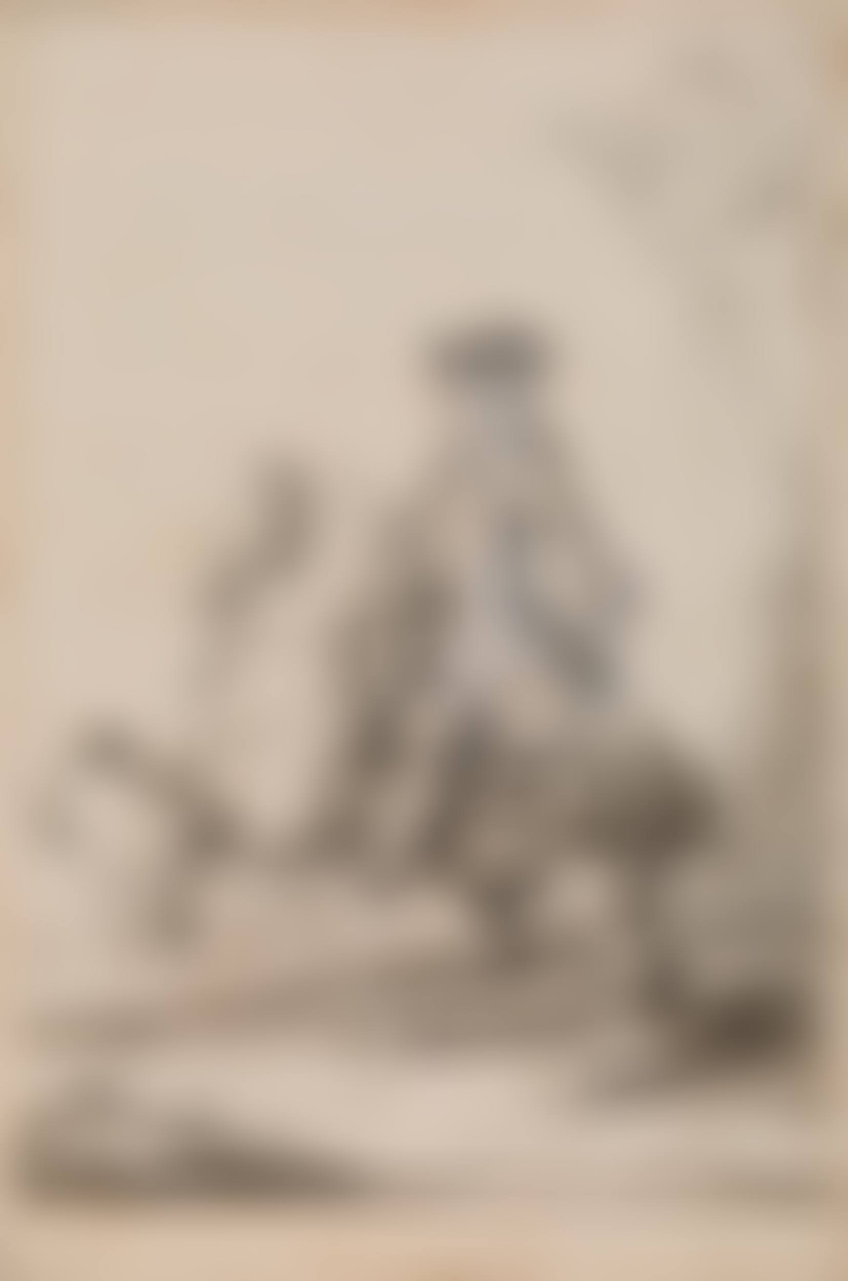 A noble man on a horse (preview)