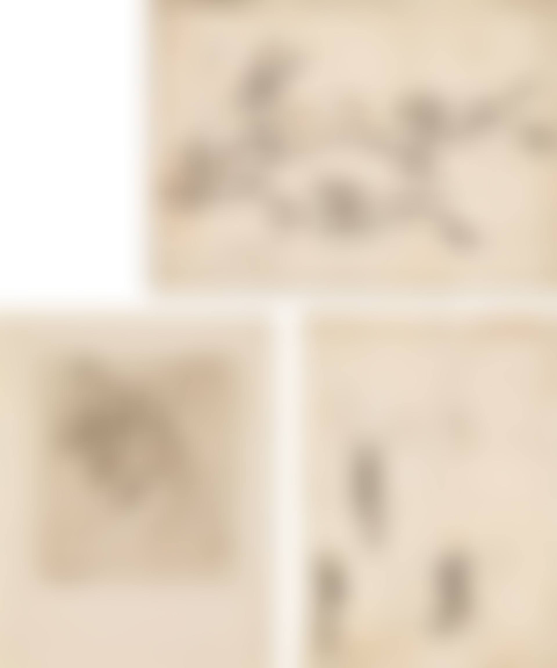 Von Hunden gehetzter Hirsch & Drei Hundeköpfe (2 drawings) (preview)