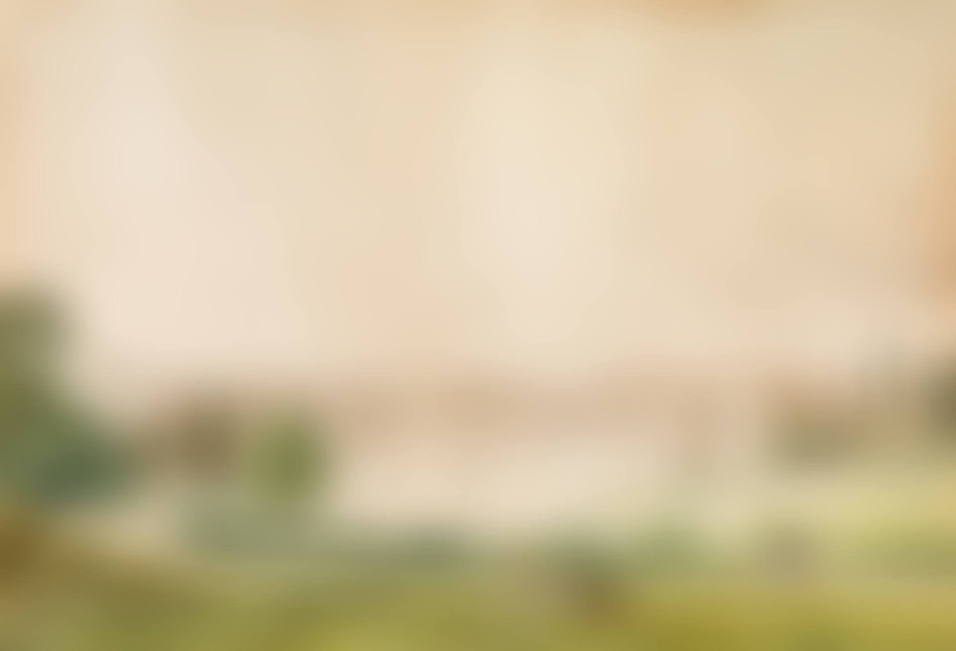 View of the Boboli Gardens and the Palazzo Pitti in Florence (preview)